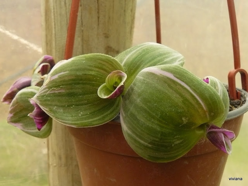 P1420015.JPG