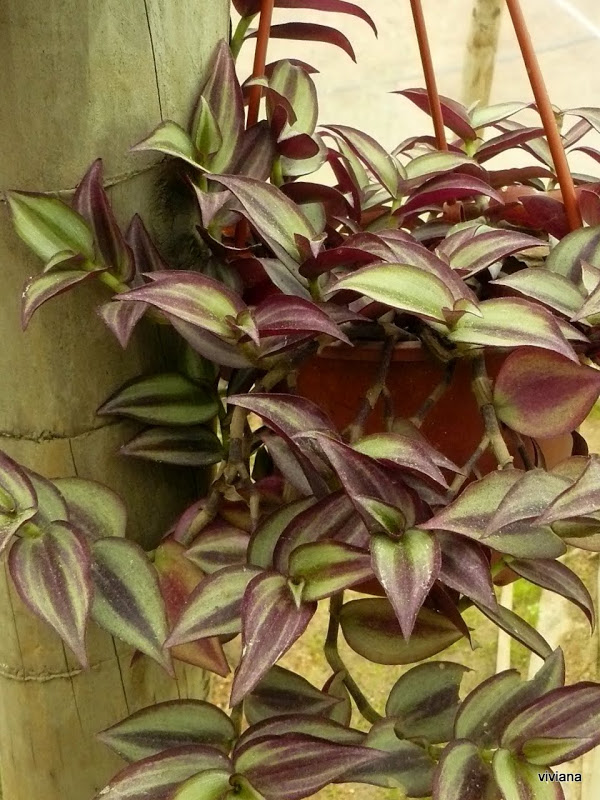 P1420017.JPG