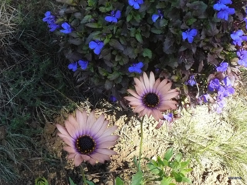 P1420128.JPG