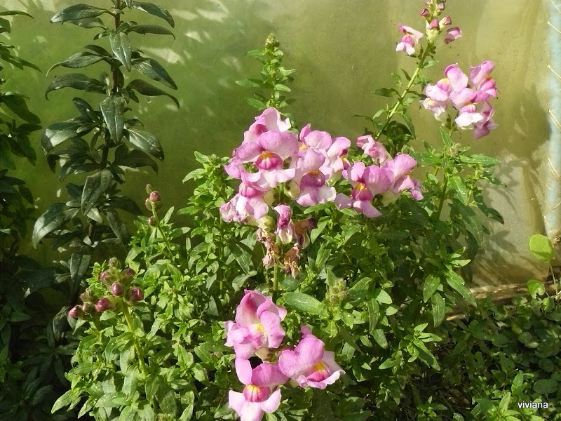 P1420156.JPG