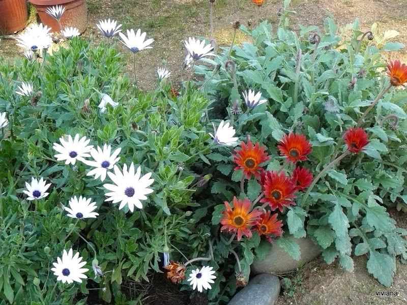 P1420167.JPG
