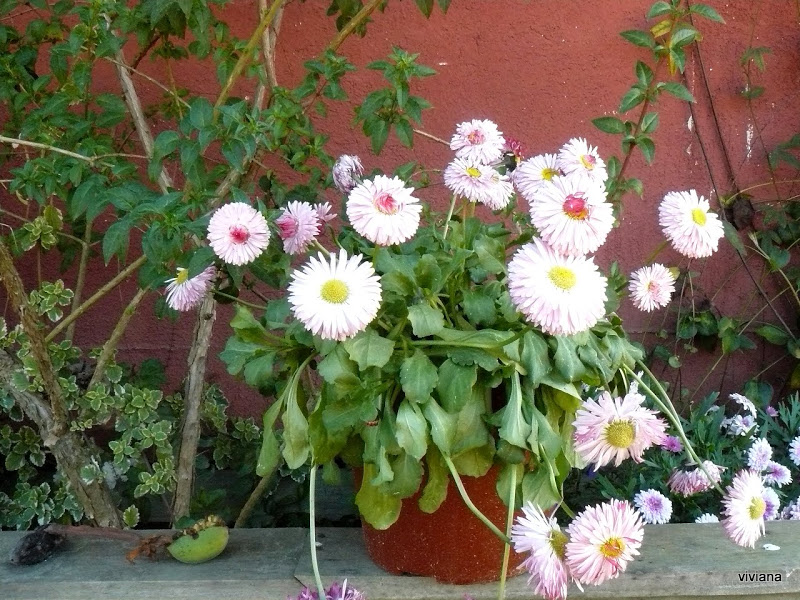 P1420175.JPG
