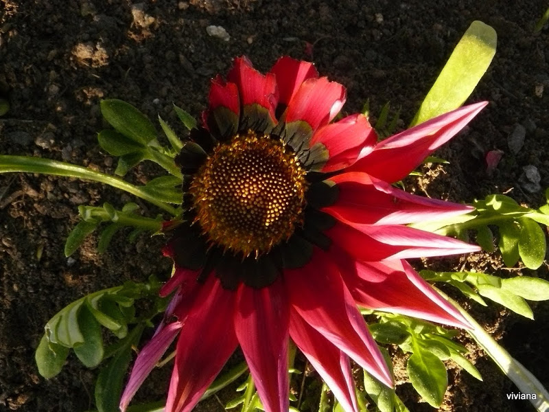 P1420179.JPG
