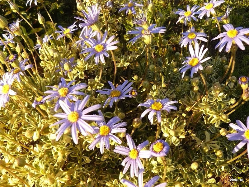 P1420198.JPG
