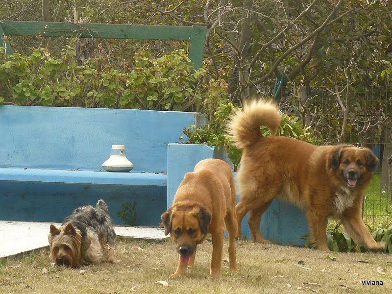 P1420439.JPG