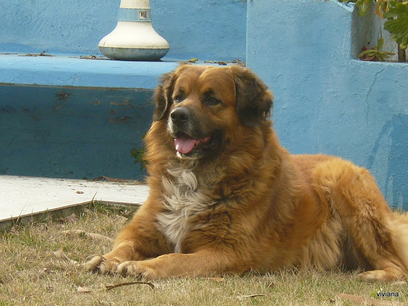 P1420445.JPG
