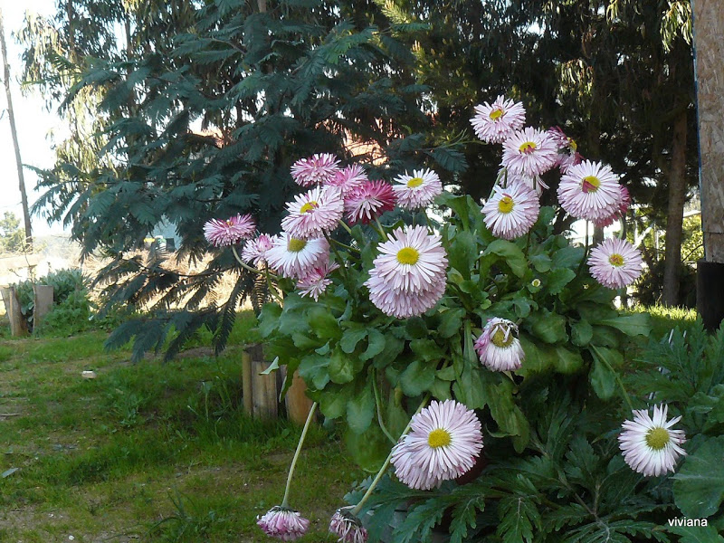 P1420467.JPG