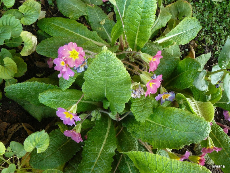 P1420473.JPG