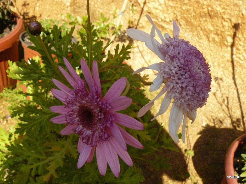 P1420479.JPG