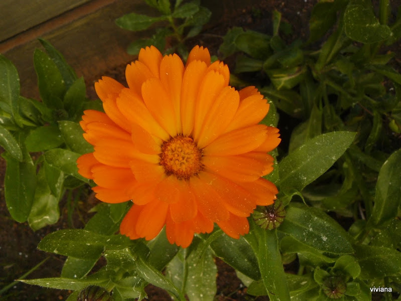 P1420514.JPG