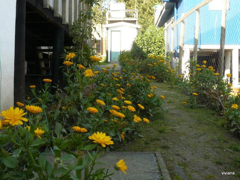 P1420516.JPG