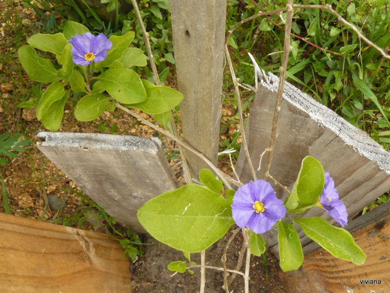 P1420546.JPG