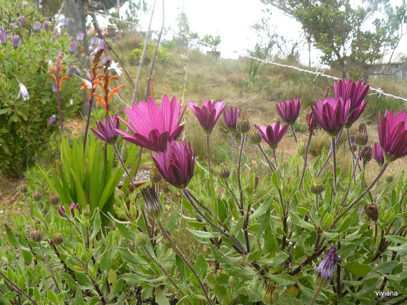 P1420587.JPG