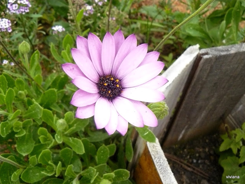P1420631.JPG