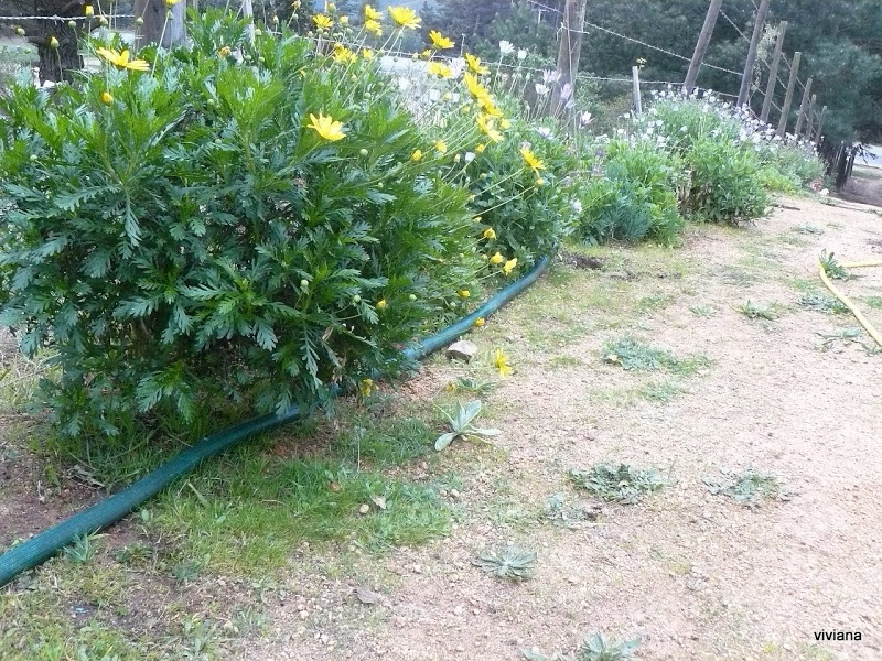 P1420637.JPG