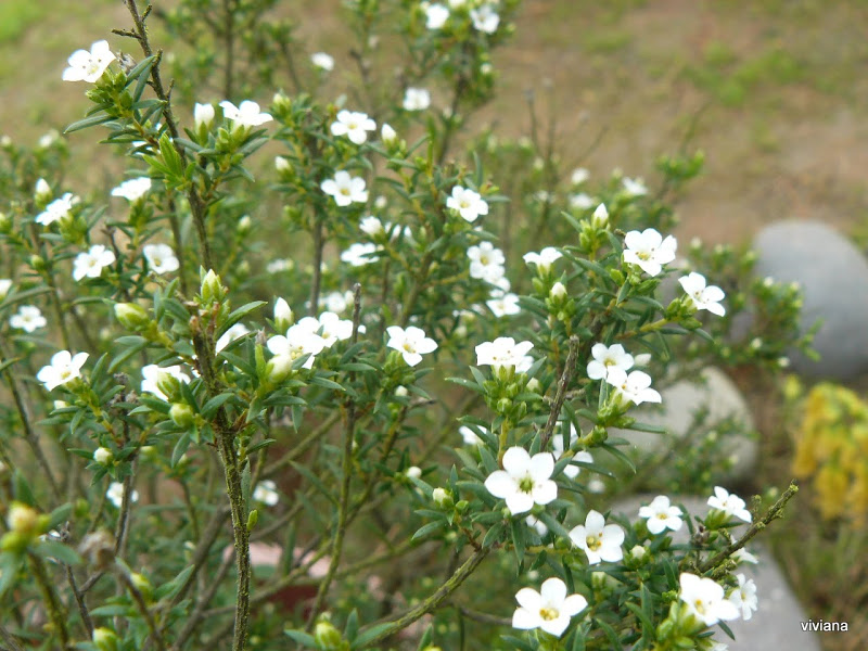 P1420859.JPG