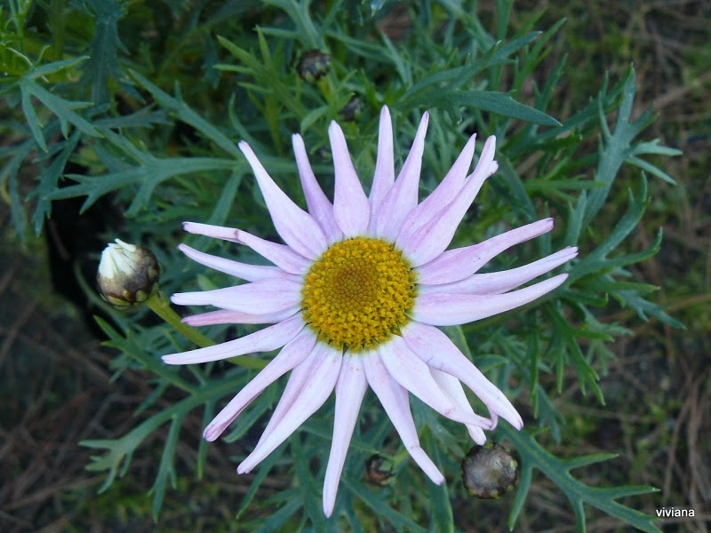 P1430002.JPG