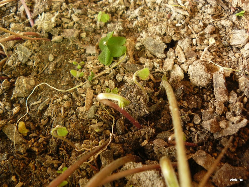 P1430048.JPG