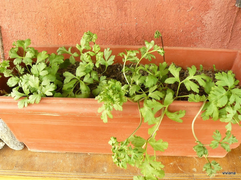 P1430049.JPG