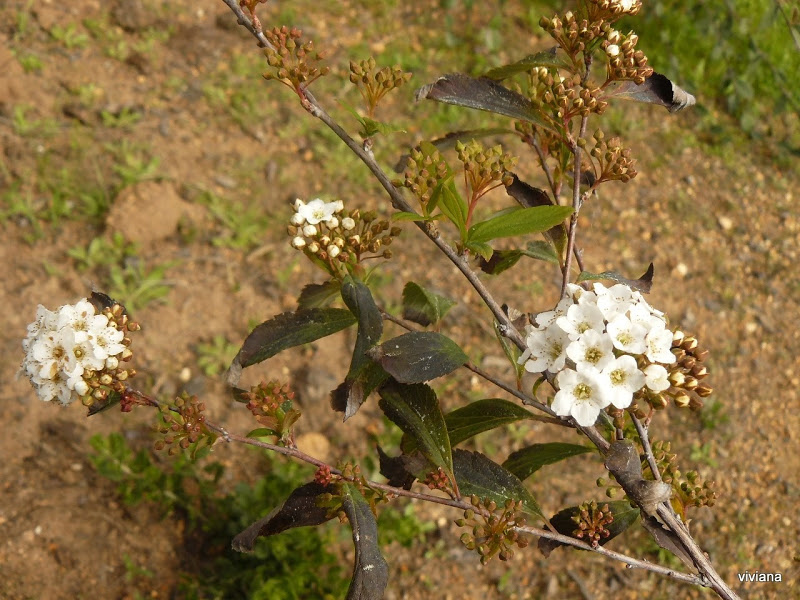 P1430064.JPG