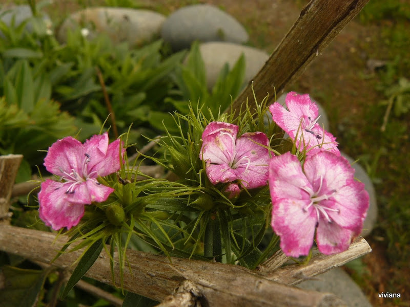 P1430073.JPG