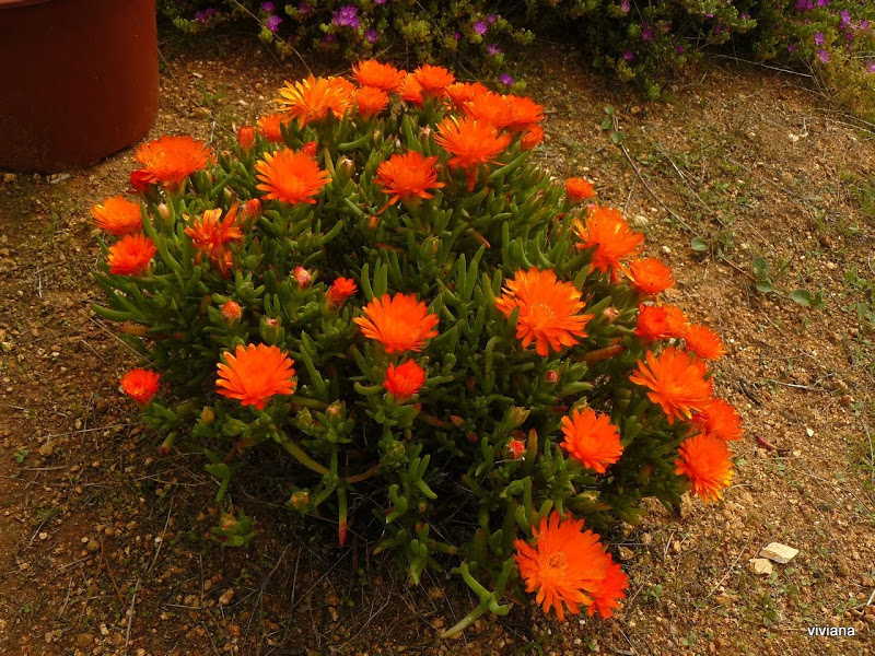 P1430078.JPG