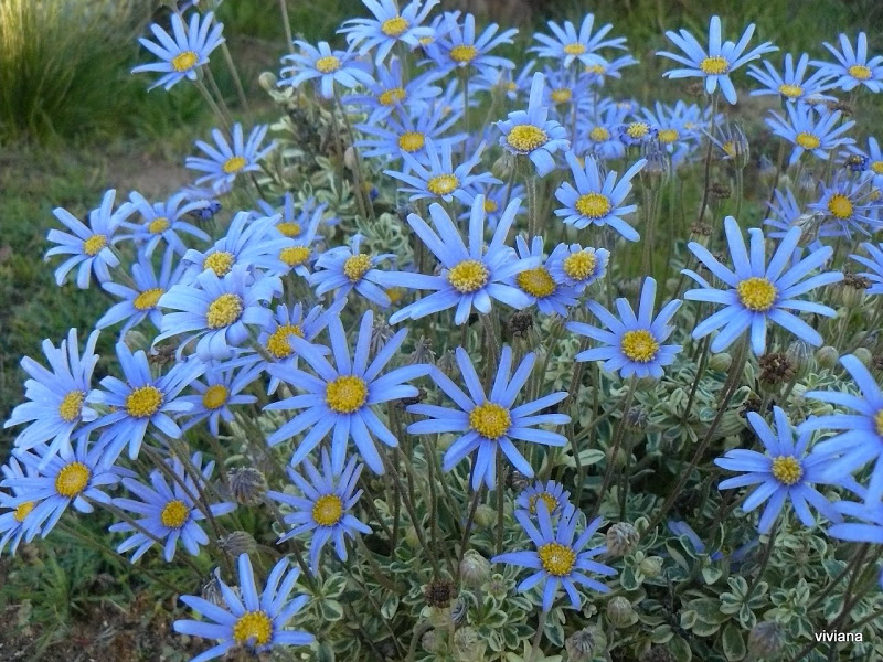 P1430185.JPG