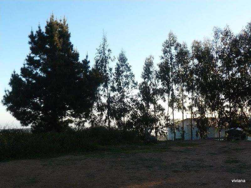 P1430188.JPG