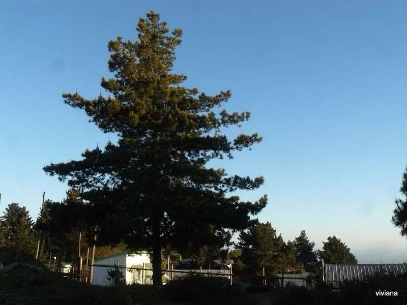 P1430190.JPG