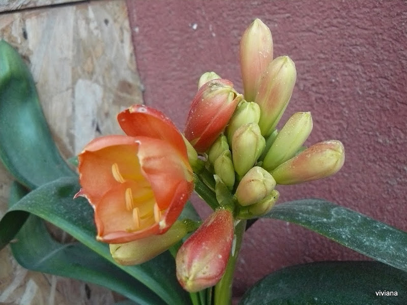 P1430210.JPG