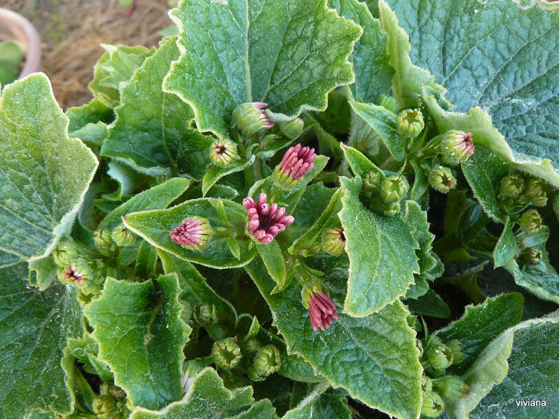 P1430319.JPG