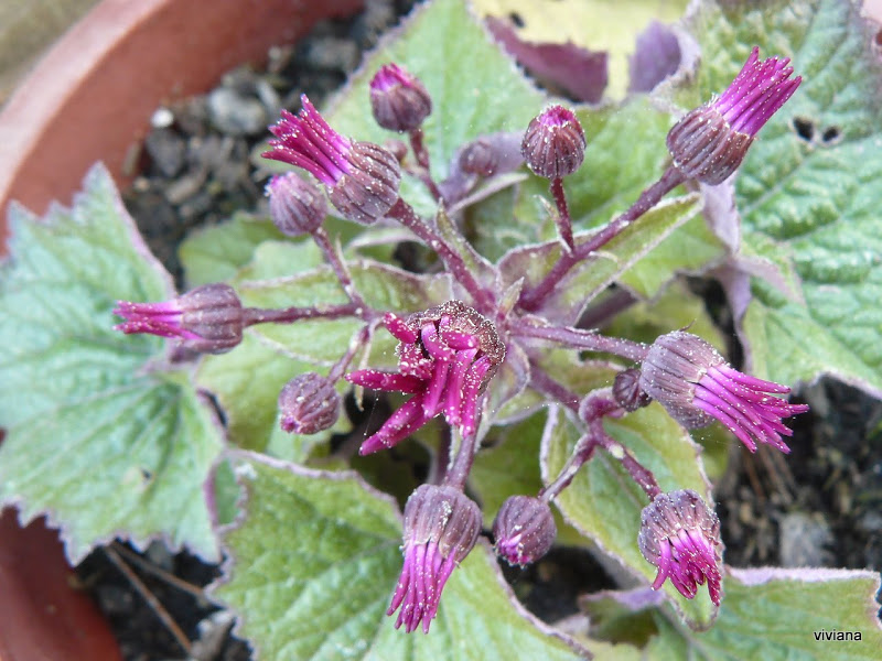 P1430322.JPG