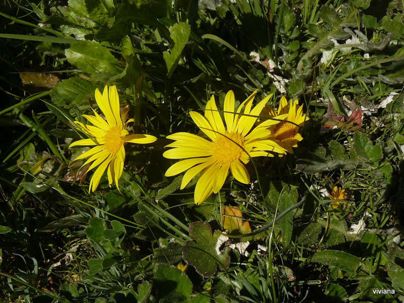 P1430328.JPG