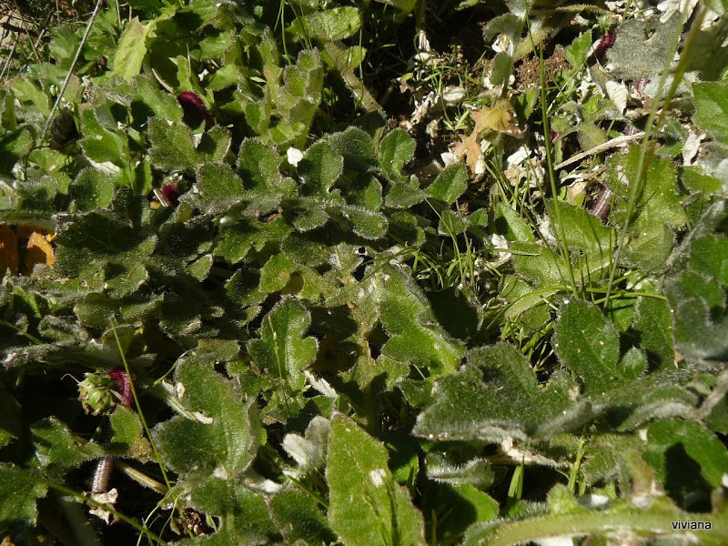 P1430331.JPG