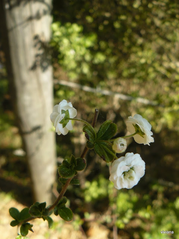 P1430350.JPG