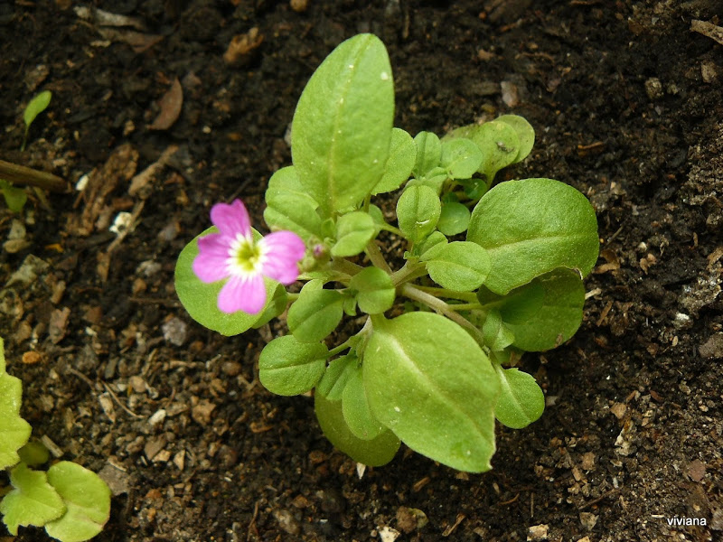 P1430391.JPG