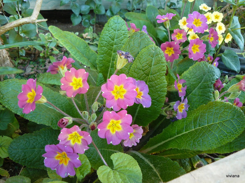 P1430411.JPG