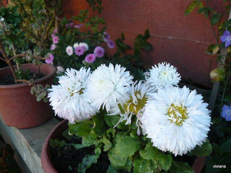 P1430431.JPG