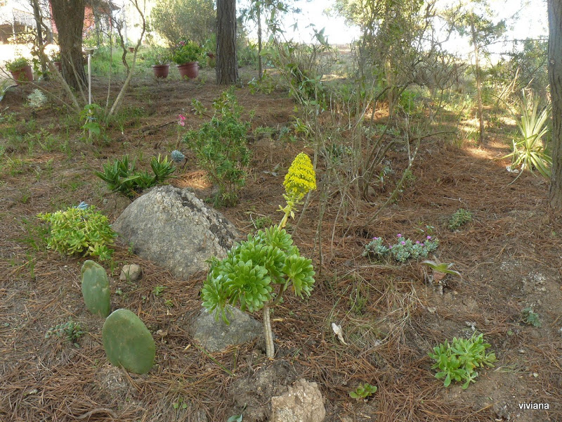 P1430463.JPG