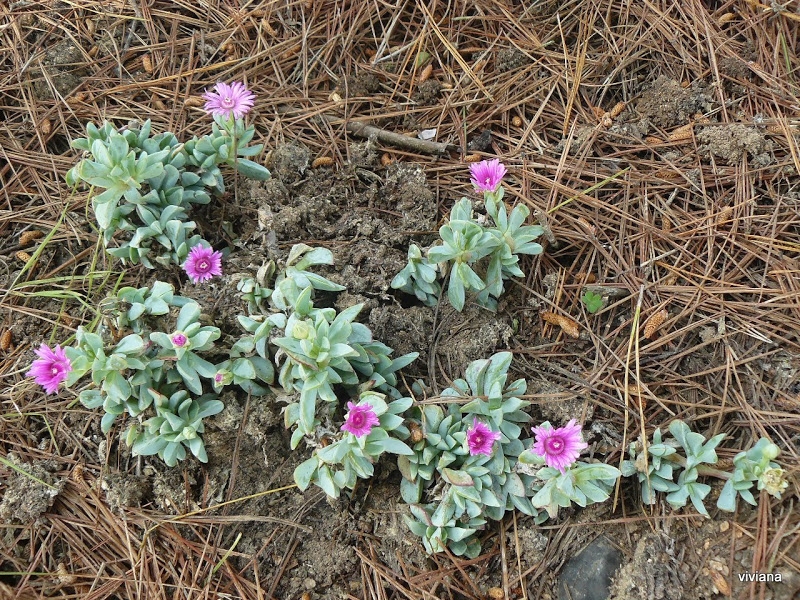 P1430467.JPG