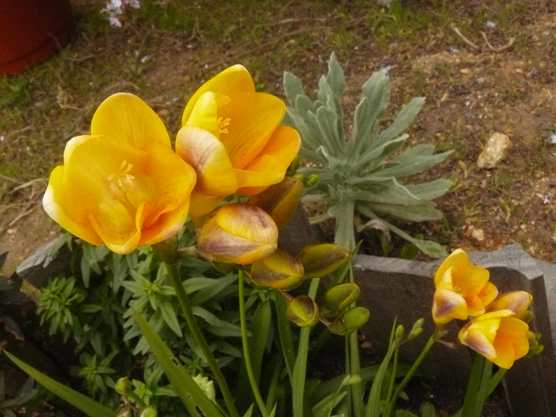 P1430559.JPG