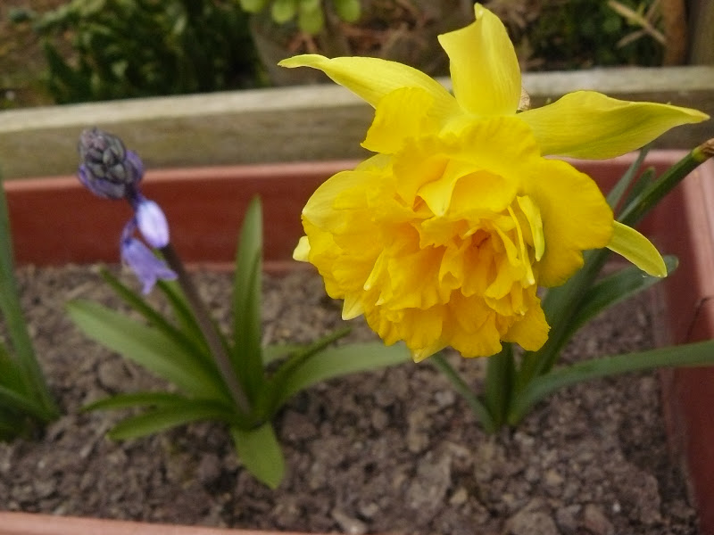 P1430571.JPG