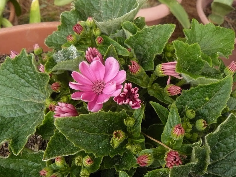 P1430586.JPG