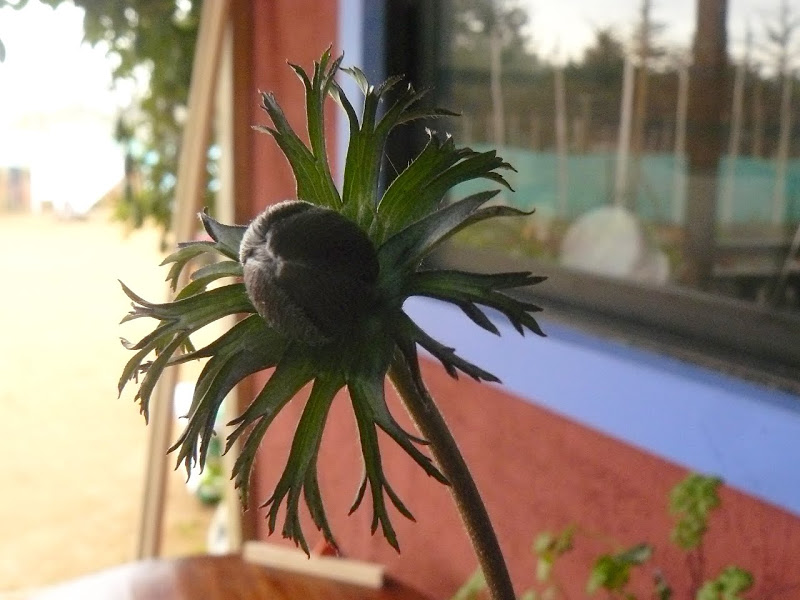 P1430601.JPG