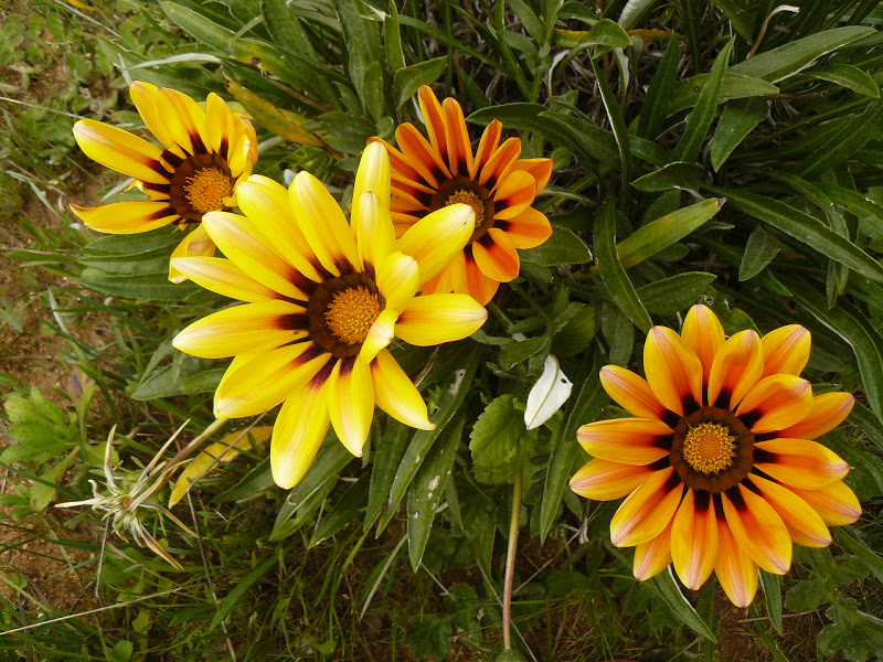 P1430620.JPG