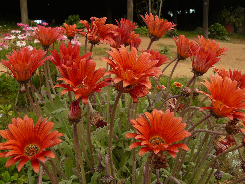 P1430634.JPG