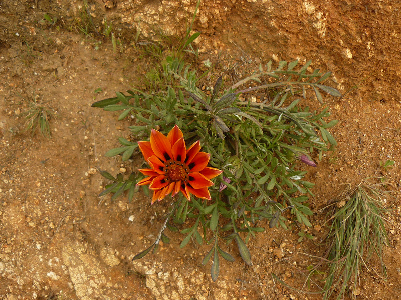 P1430637.JPG