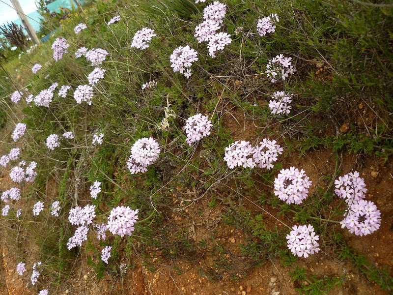P1430644.JPG
