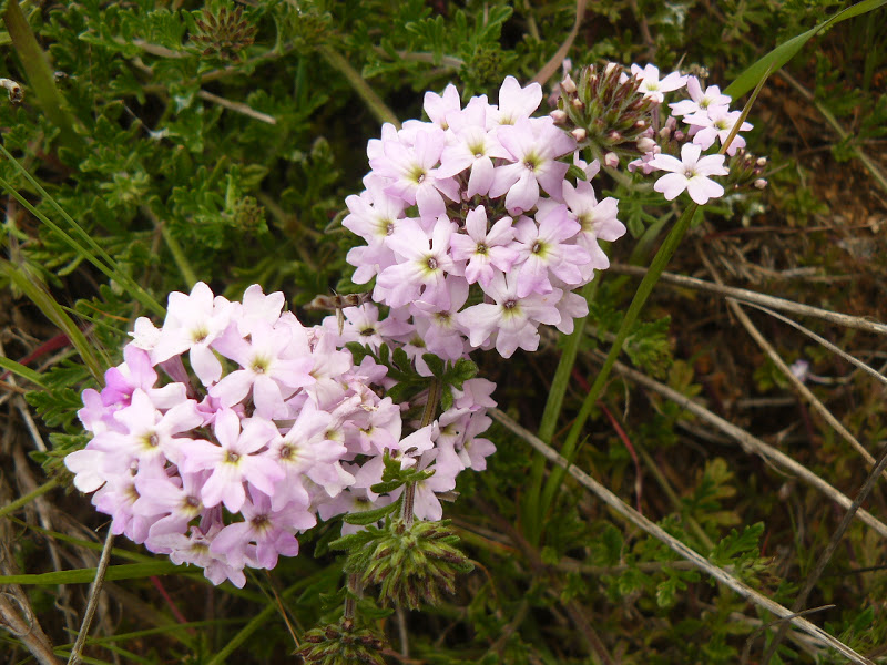 P1430649.JPG