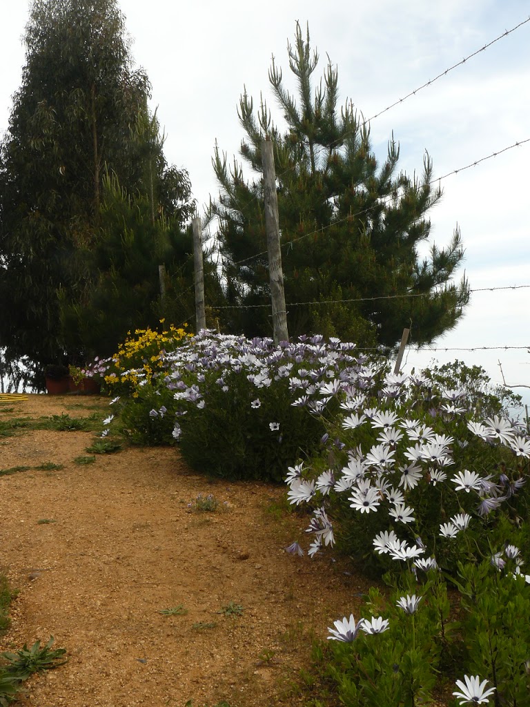P1430696.JPG
